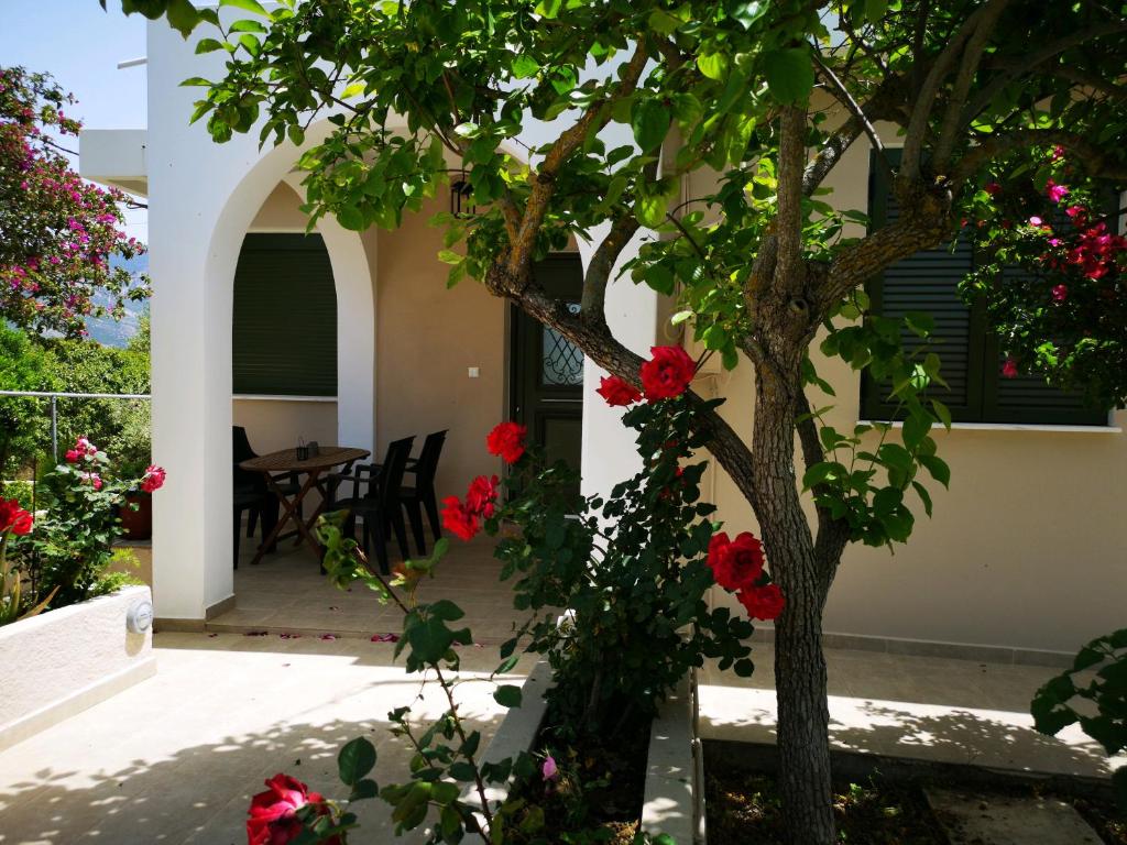 Casa da Bugainvillea photo 3