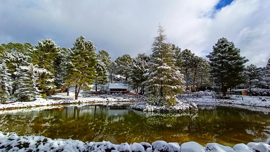 La cabaña del lago en ZAFIRO LAGUNAZO Parque Natural del Río Mundo photo 3