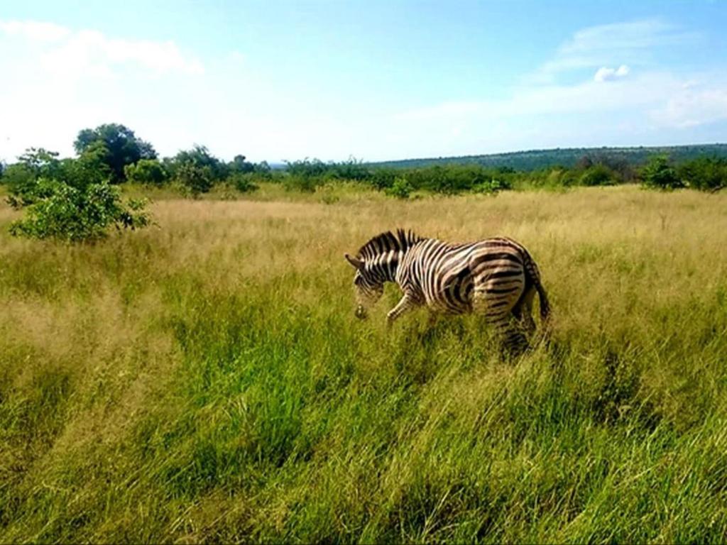 Geluksfontein Private Game Farm photo 1