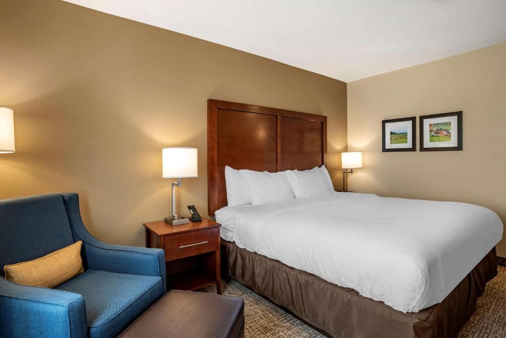 Comfort Inn & Suites photo 2