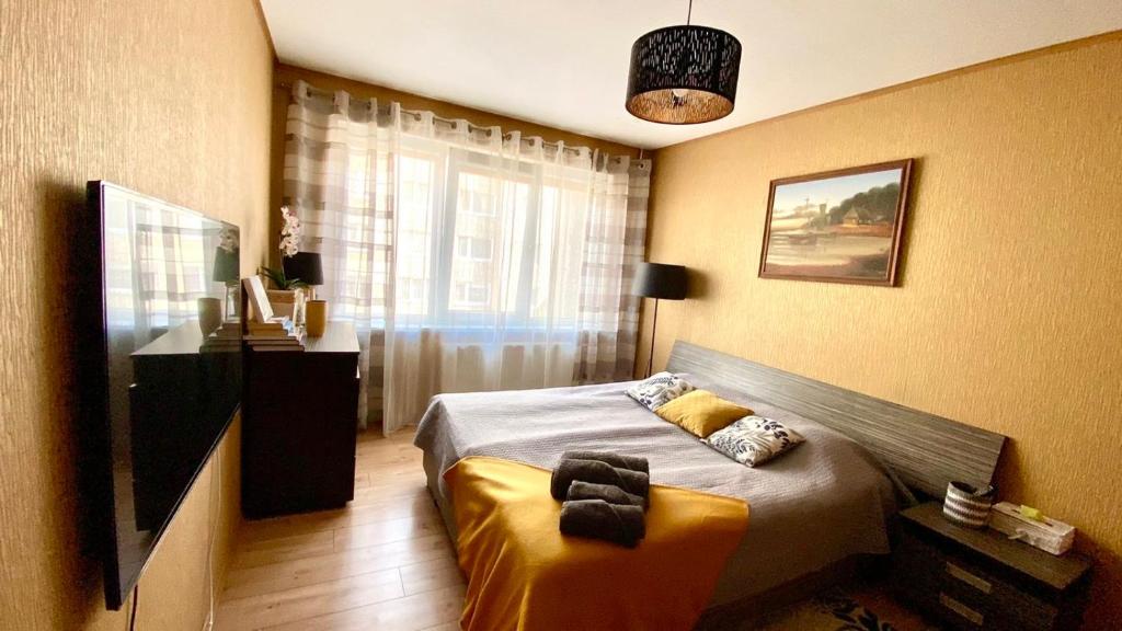Cozy one bedroom apartment in the city center photo 1