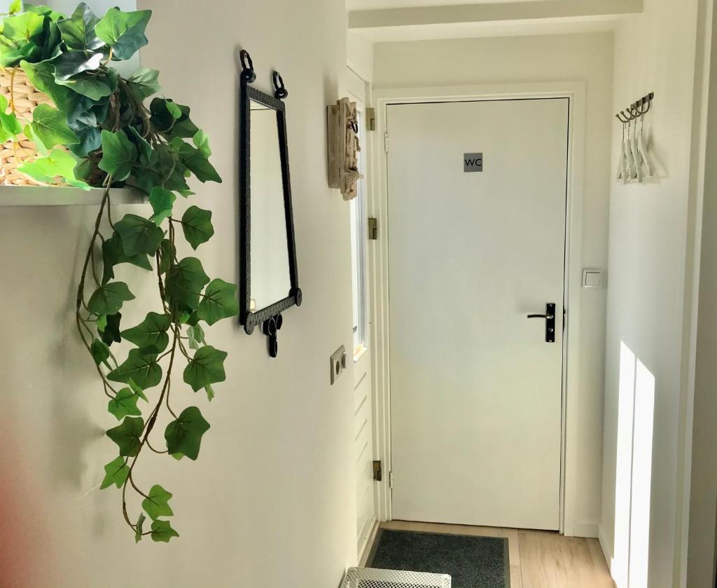 Ferienhaus Genießen am Meer mit Wellnesszugang photo 2