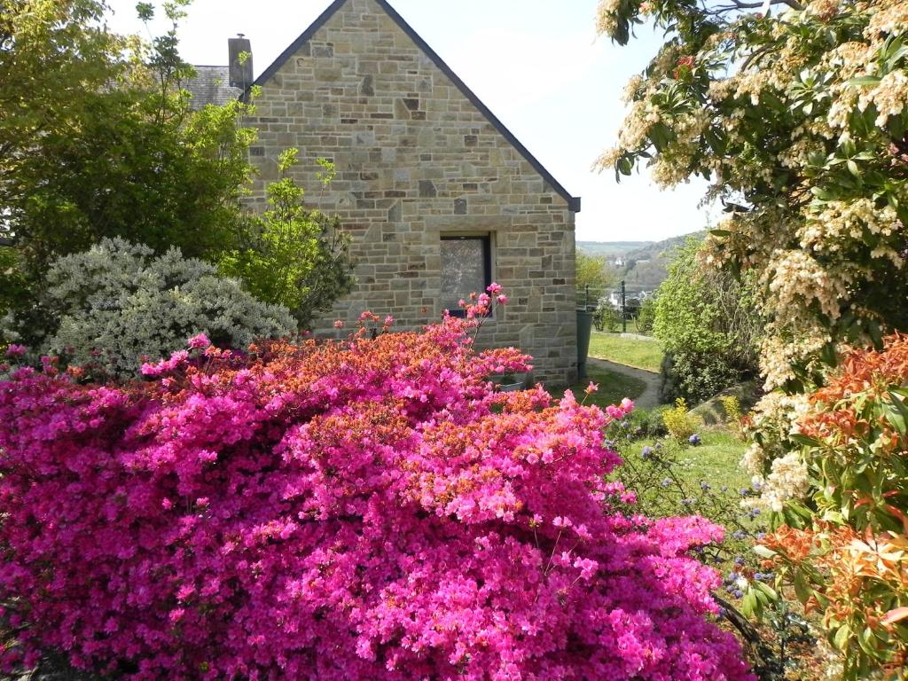 Villa d'Ys photo 2