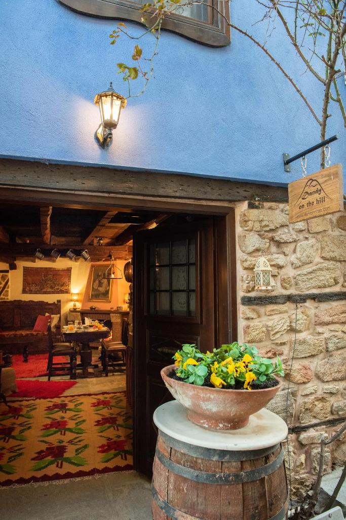Dandy on the hill - Arnaia - Fireplace - Down Town photo 1