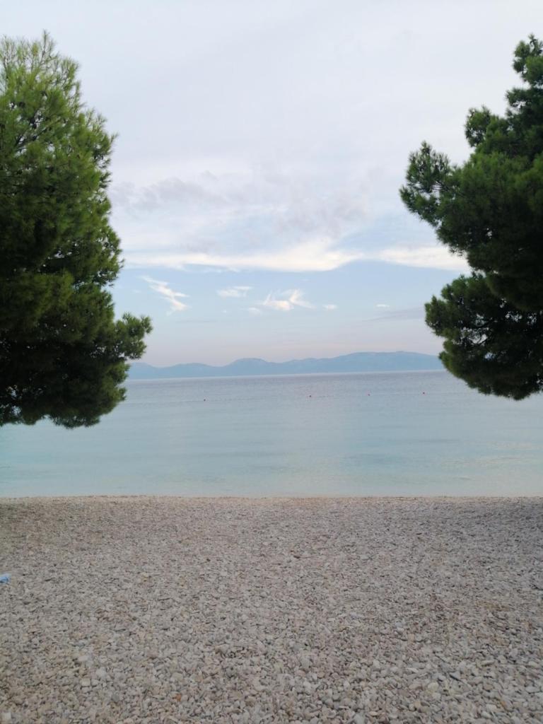 Apartments with sea view Drvenik Makarska riviera photo 3