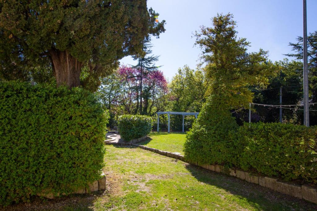 Villa Pardi photo 3