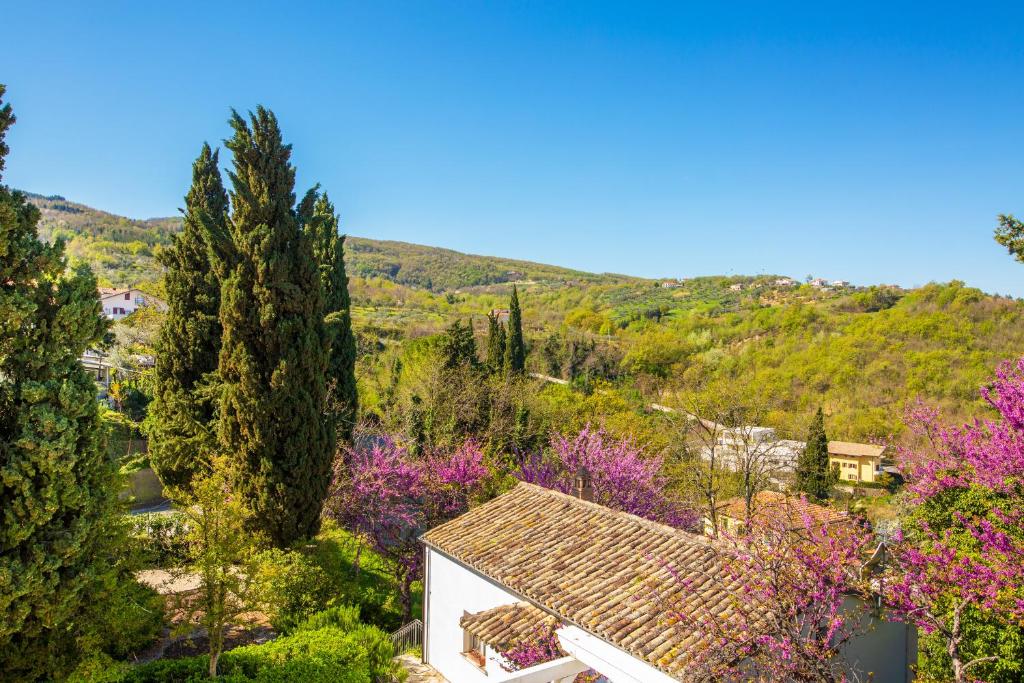 Villa Pardi photo 4