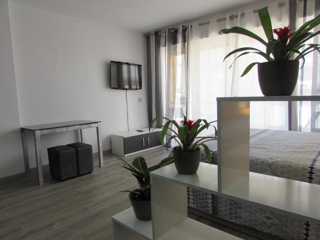 GARRUCHA HOME AND BEACH photo 3