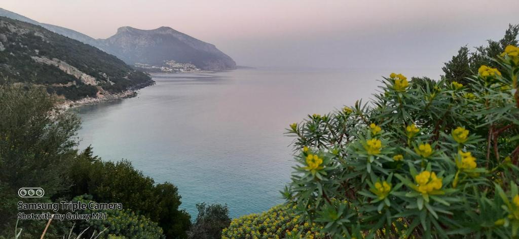 Amazing View Home photo 3
