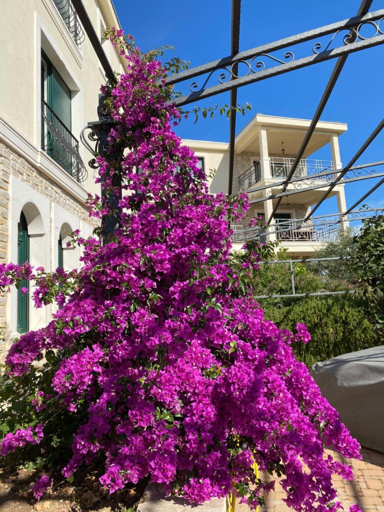 Villa Valeria photo 1