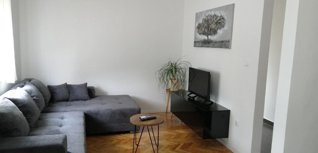 APARTMAN BORNA photo 3