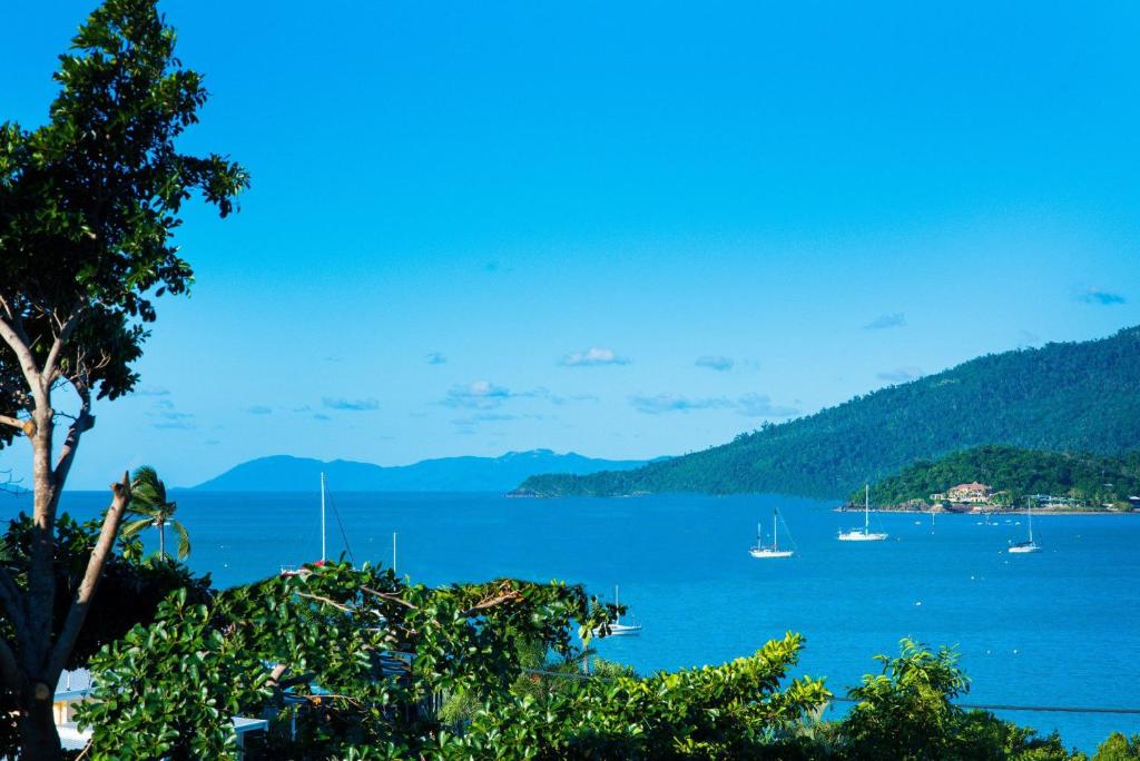Airlie Bay View photo 2