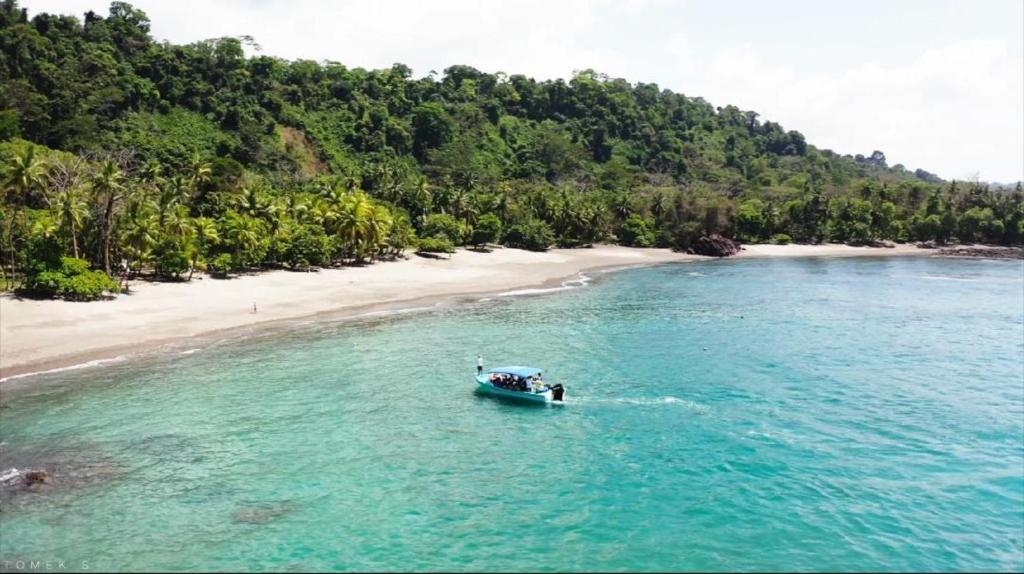 Life for Life Hostel Drake Bay Home of Sea Turtle Marine Conservation Project Osa Peninsula near San Josecito Beach photo 4