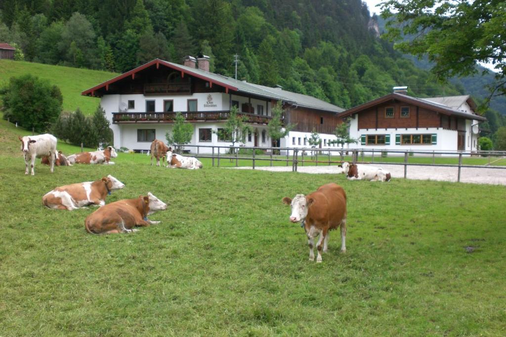 Kilianhof photo 4
