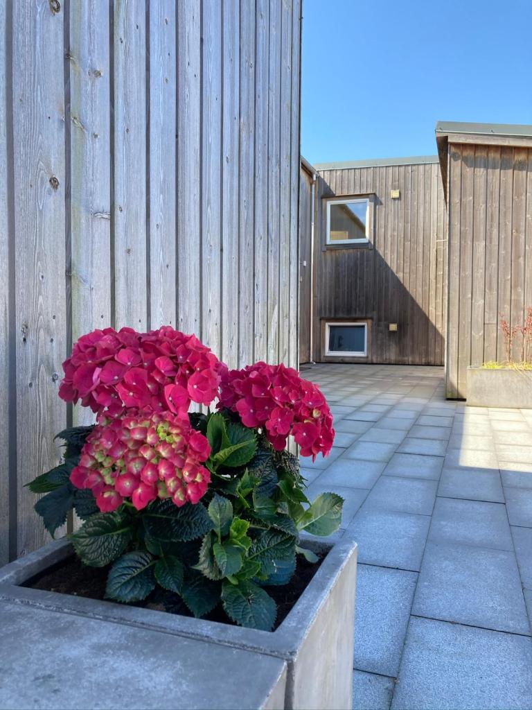 Parken Terrasse Apartment Hotel photo 4