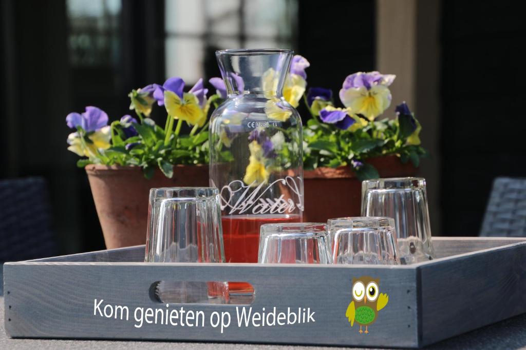 Vakantiehuis Weideblik photo 2