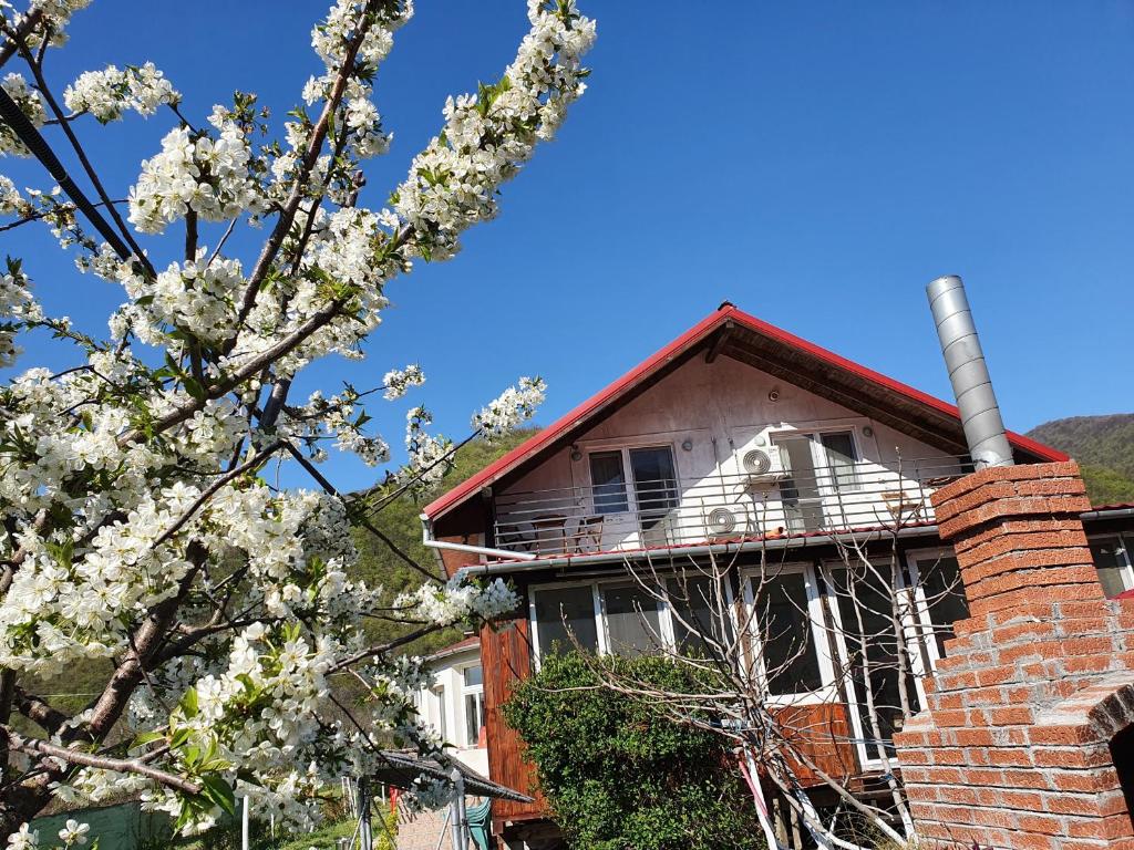Vila di Pau photo 4