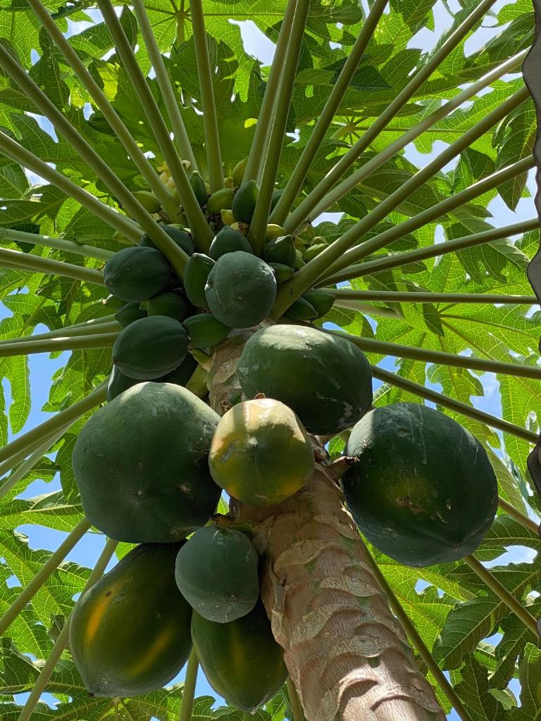 Hotel Thien Duong Xanh