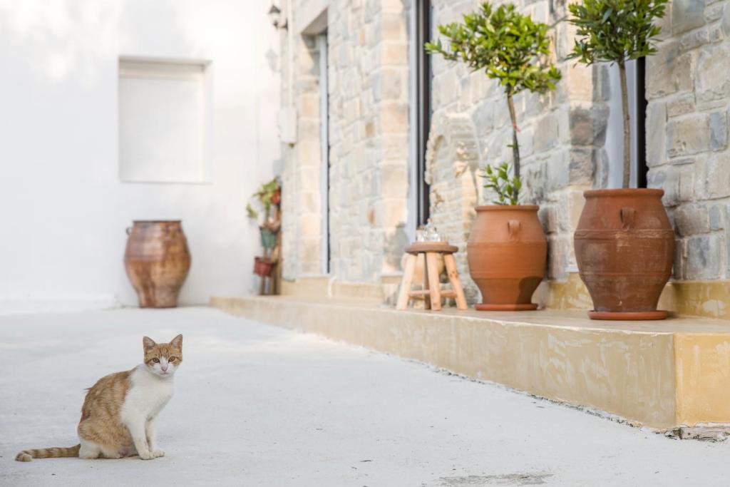 Villa Mira photo 2