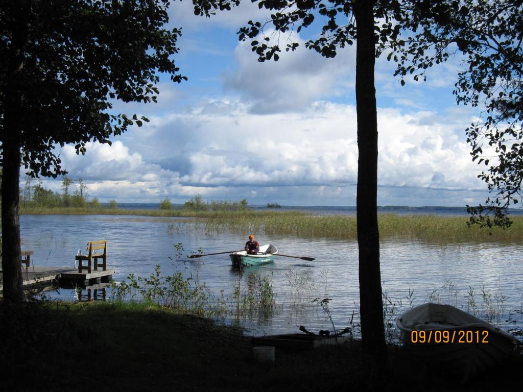 Karvisen Kissanpäivät Joensuun lähellä photo 2