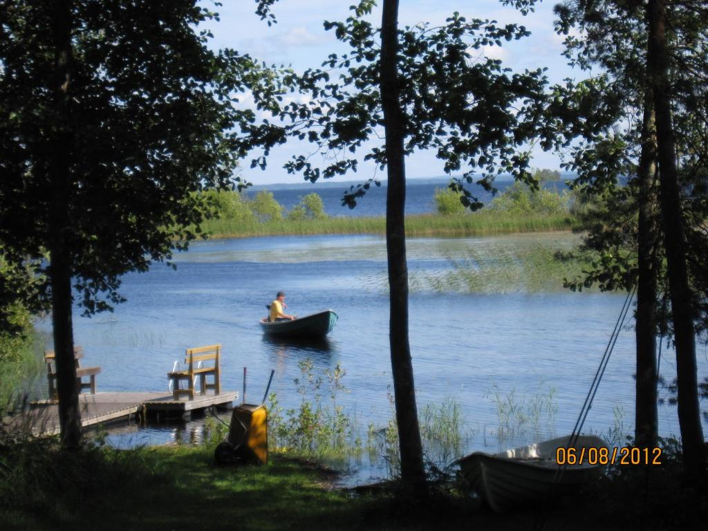 Karvisen Kissanpäivät Joensuun lähellä photo 4