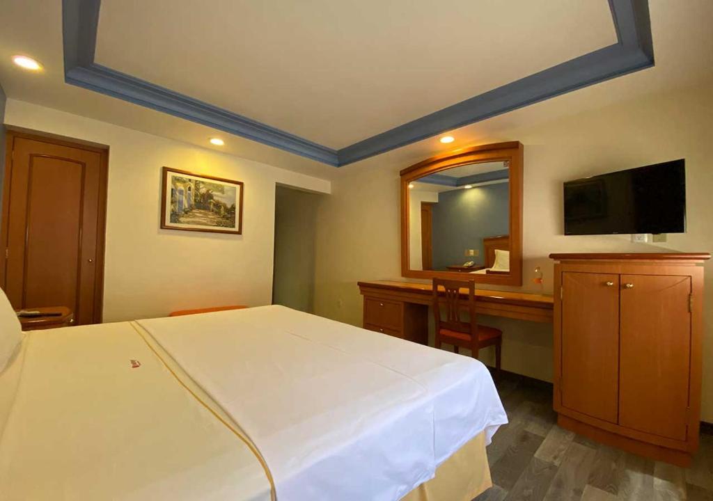 Двухместный (Стандартный номер с кроватью размера «king-size»), Hotel San Diego