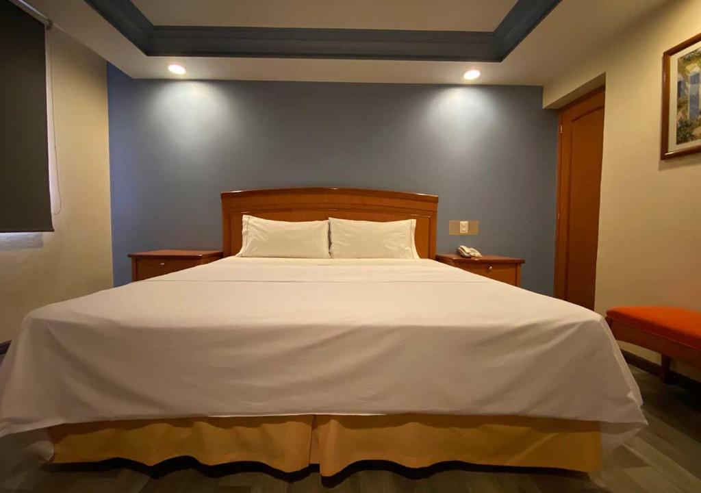 Двухместный (Стандартный номер с кроватью размера «king-size»), Hotel San Diego