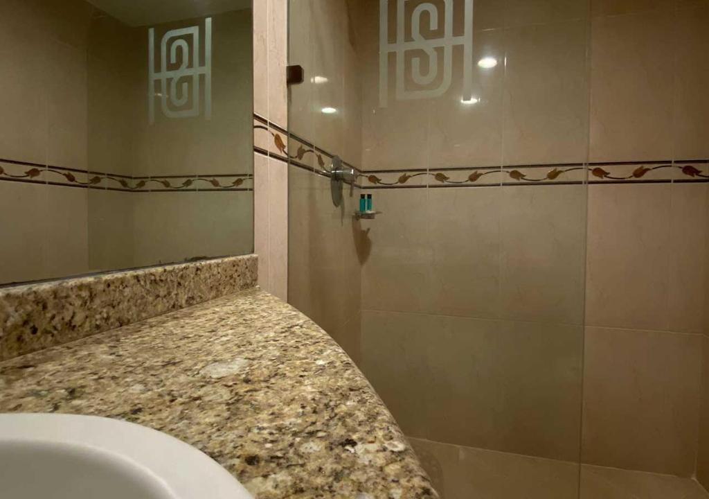 Двухместный (Стандартный номер с кроватью размера «king-size»), Hotel San Diego