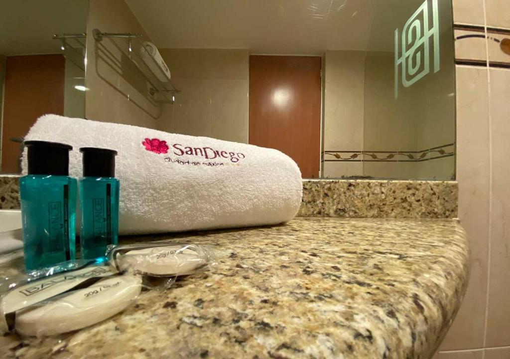Двухместный (Стандартный номер с кроватью размера «king-size»), Hotel San Diego