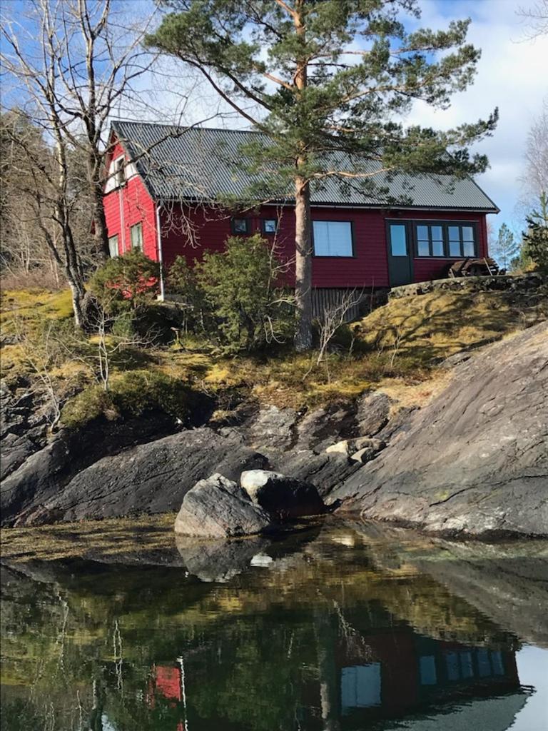 Teigen Leirstad, feriehus og hytter photo 2