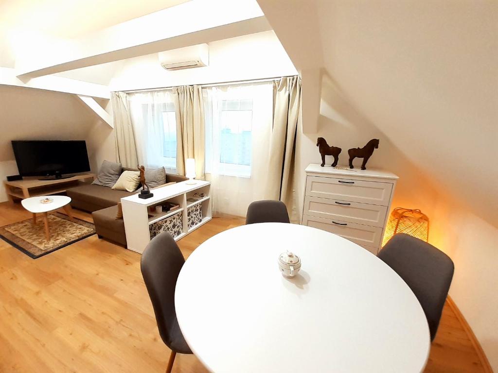 Apartmány v centru - Lázně Kynžvart photo 3