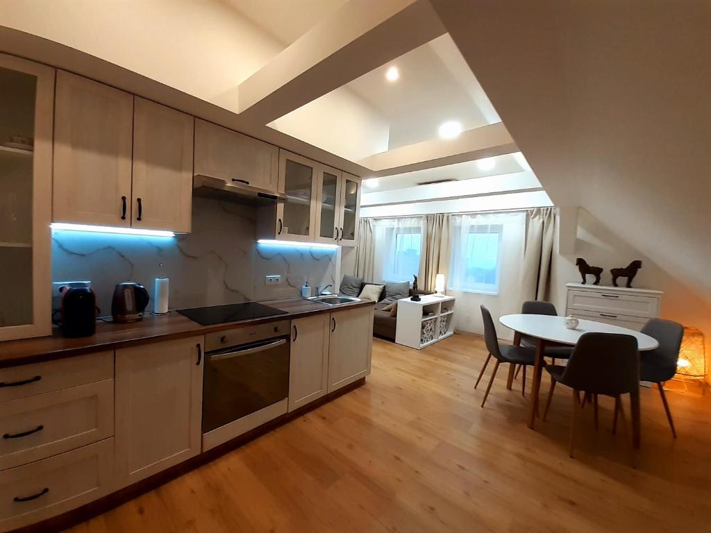 Apartmány v centru - Lázně Kynžvart photo 1