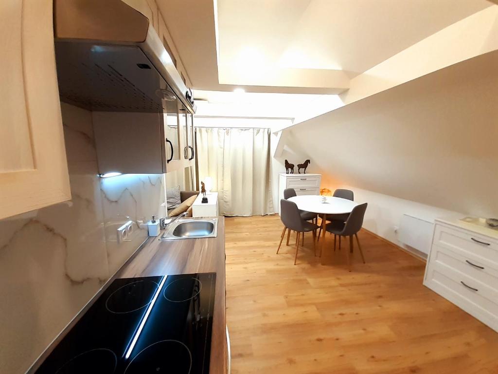 Apartmány v centru - Lázně Kynžvart photo 2