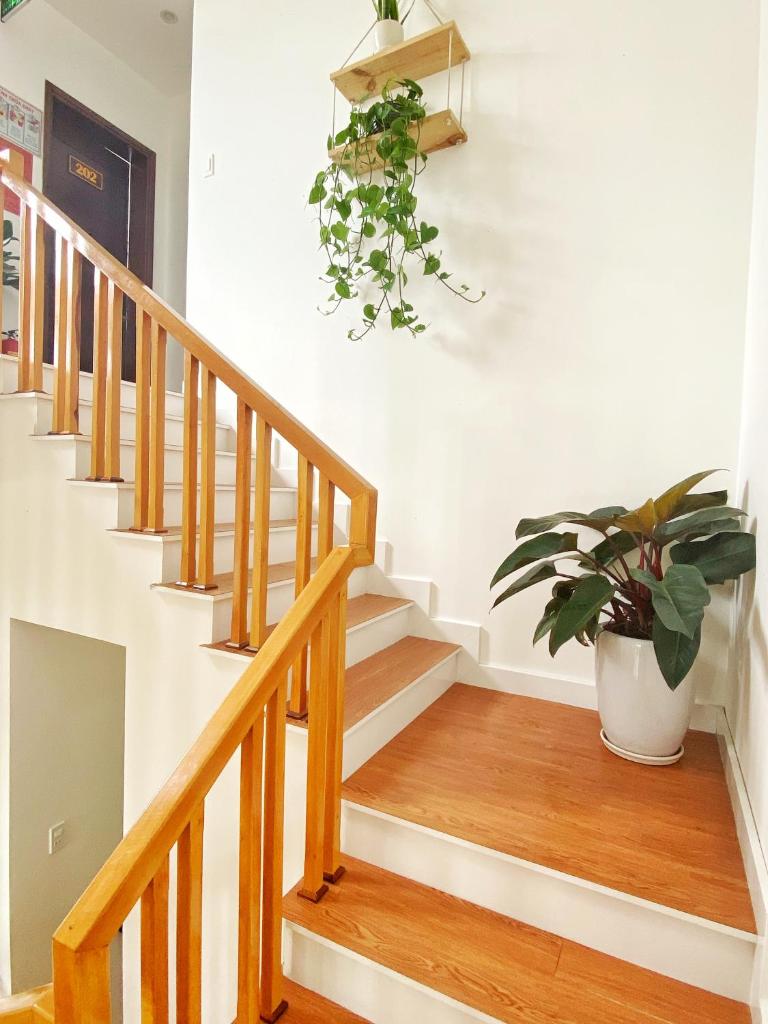 Hoi An Cabbage Garden