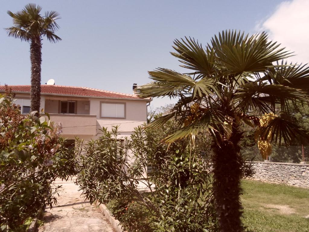 Apartment Floresita photo 1