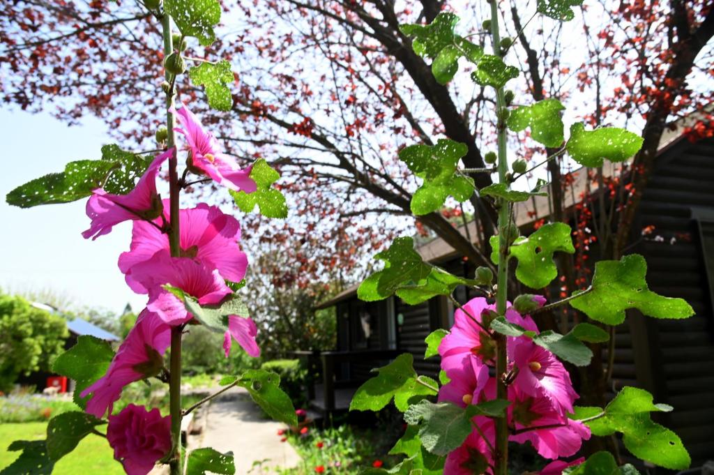 Numa Emek-Countryside Guesthouse in Yokneam Moshava photo 1