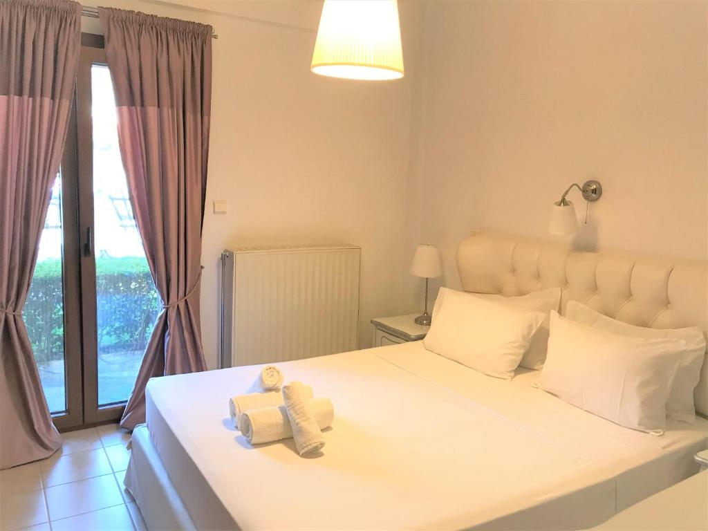 Amaryllis House photo 3