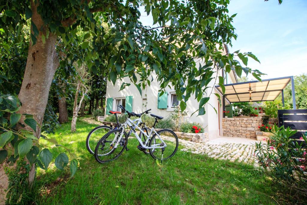 Holiday Home Mikula photo 2