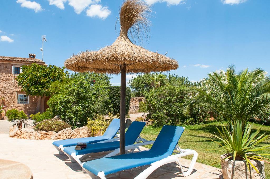 Finca Tanca Nova photo 4