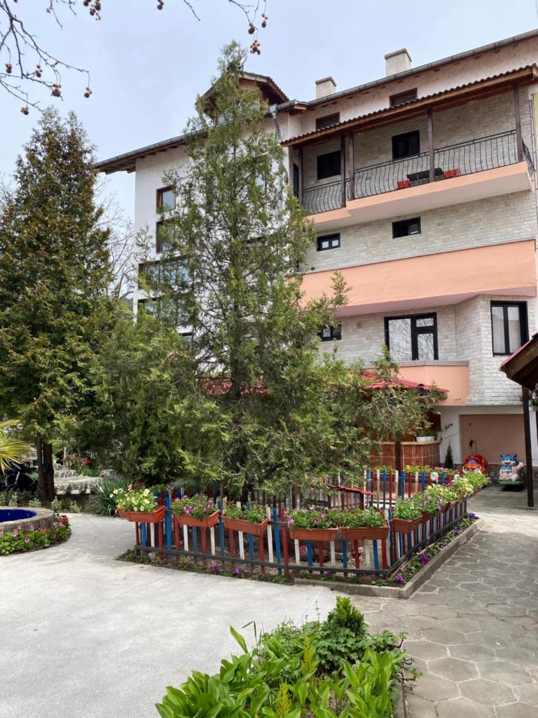 Hotel Chinara photo 4