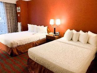 LaGuardia Plaza Hotel by Hilton Room Type - King Room - Mobility Access