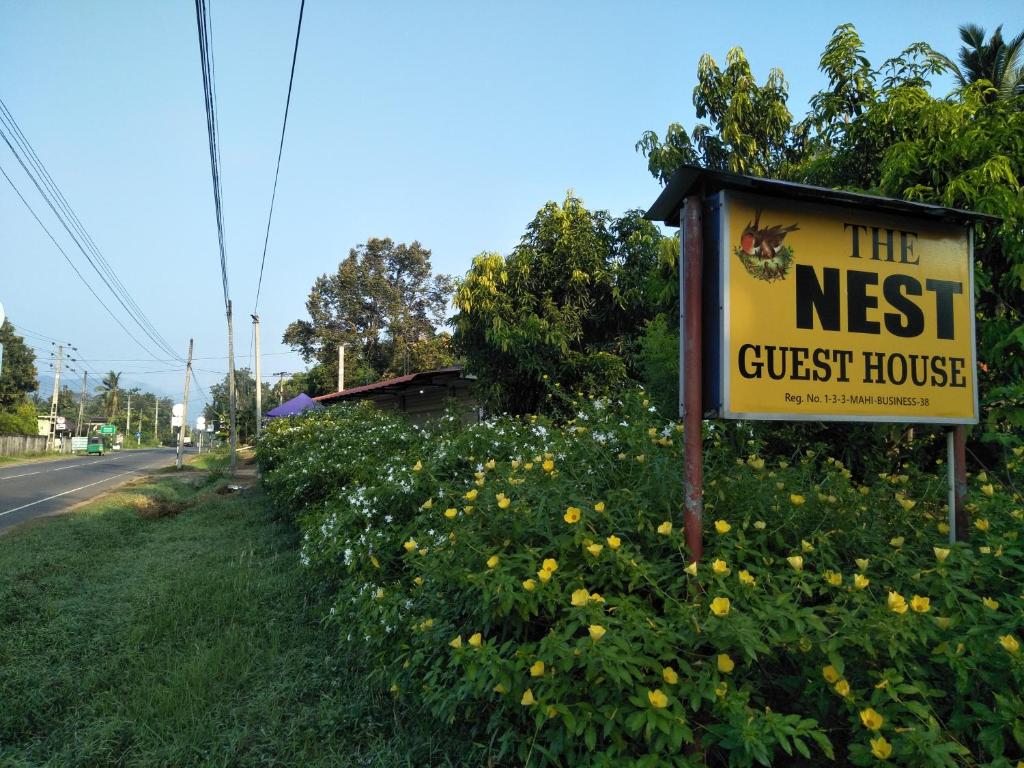 The Nest photo 2