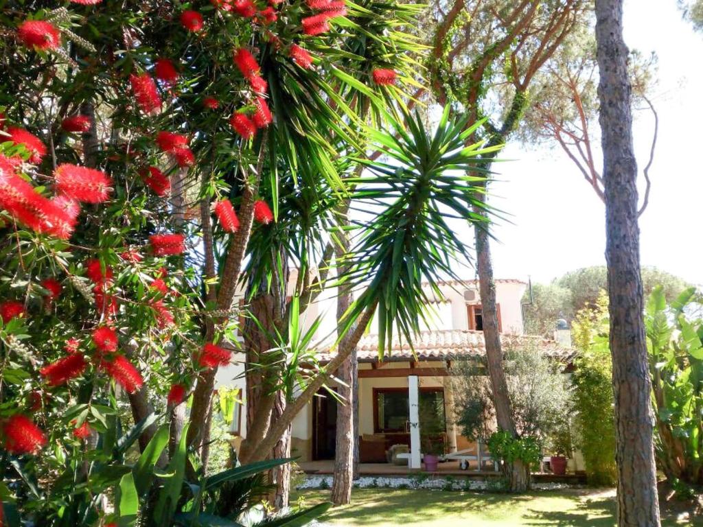 Sardinian Pearl Villa photo 4