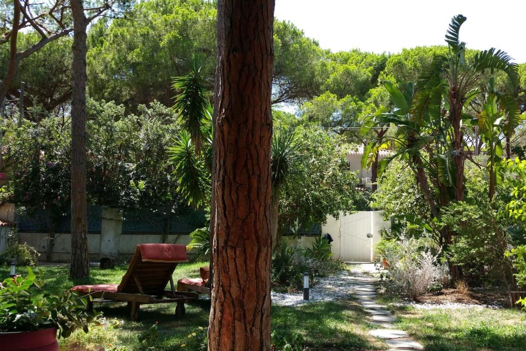 Sardinian Pearl Villa photo 3