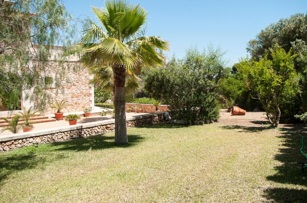 Finca Ullastre photo 4