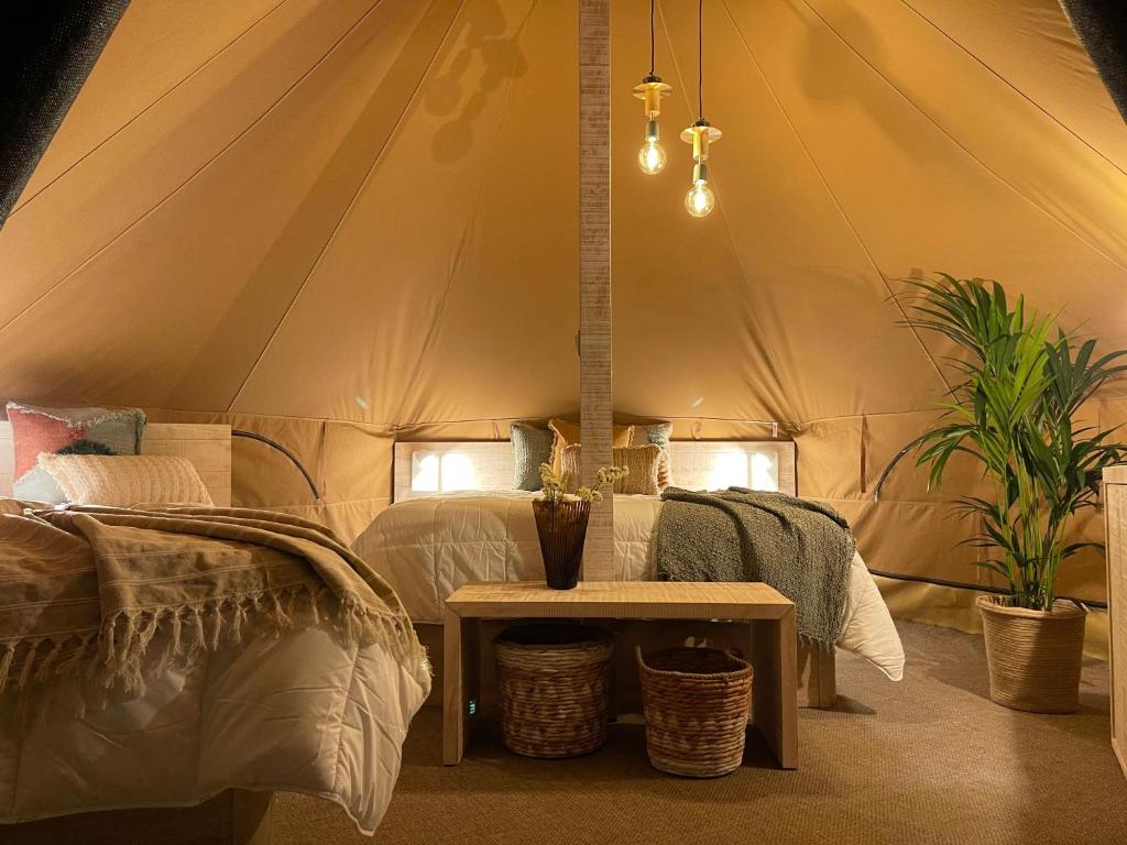 Glamping Illa de Arousa photo 4