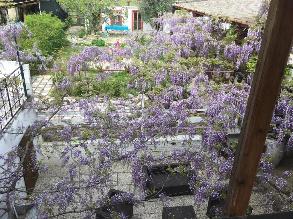 B&B Il Secolo Breve photo 1