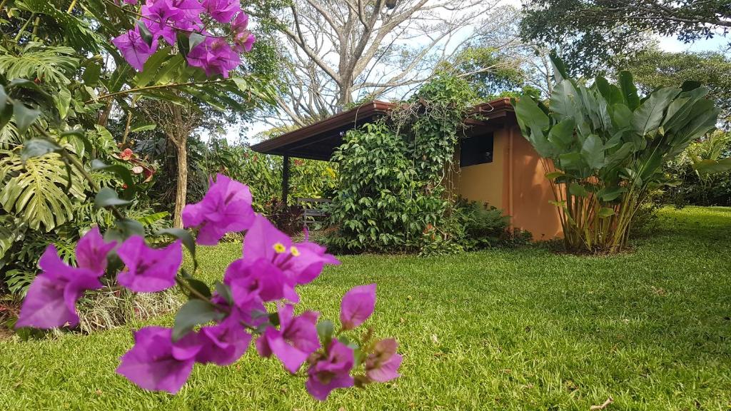 Tacacori EcoLodge photo 1