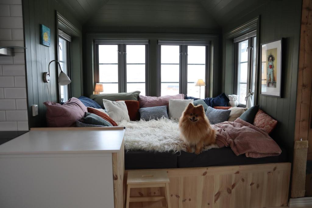 Dyr tillatt i vakkert hus med naturomgivelser i Lofoten photo 1