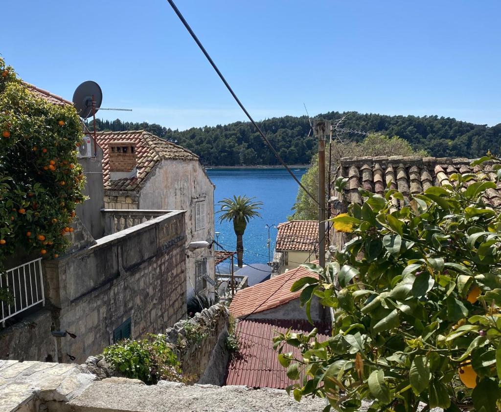Sweet Old Stone House Cavtat photo 3